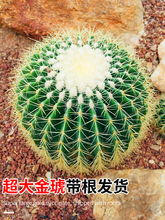 ������������k���҃��������������Դ�̖���ֲ�ﳬ���w���B