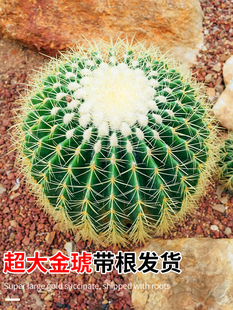 ������������k���҃��������������Դ�̖���ֲ�ﳬ���w���B