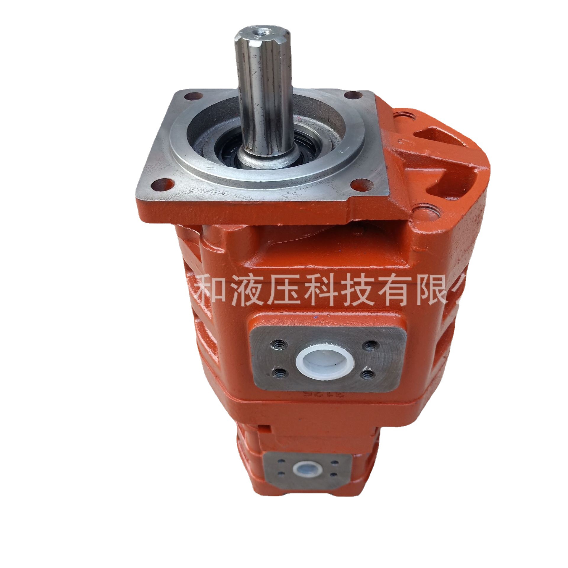 CBGj3100/1010C-XF 德工ZL50配套双联泵 厂家供应 铸铁齿轮泵厂家