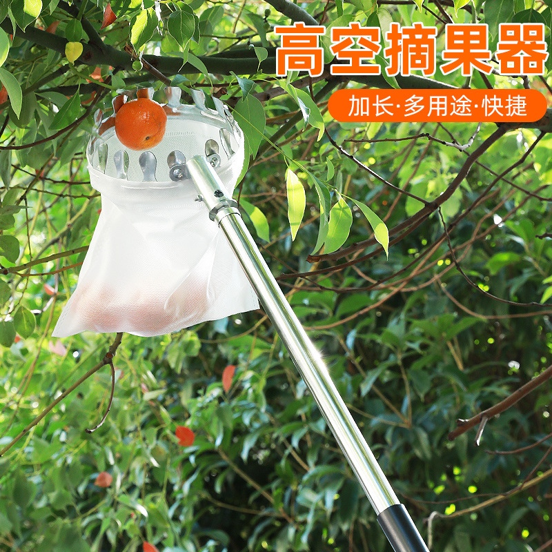 Mayorista fruta recolector de alta altura picking bayberry picking fruta recolector de fruta fruta barra de acero inoxidable fábrica directa