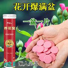 ֲ��I�B���Ƭ��ጷ�Ƭͨ���ͻ��ܾGֲ����������Լ����LЧ����