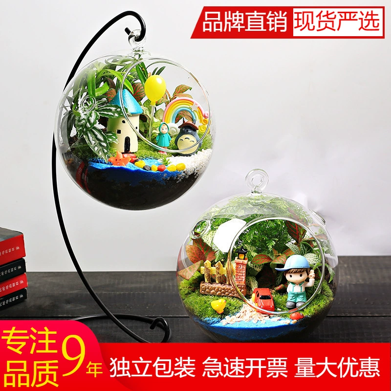 16 см мох микро пейзаж экологический подвесной кронштейн для бутылок DIY материал сумка Настольный мини зеленое растение цветок маленькое растение в горшке