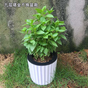 �����ԾŌ������ʳ���_���~��ʳ����ֲ���ļ��Gֲ���B���l
