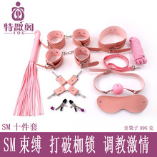 toyshcool SMƤ��ʮ����װ����Ʒ������Ȥ���ߵ���Ů������������