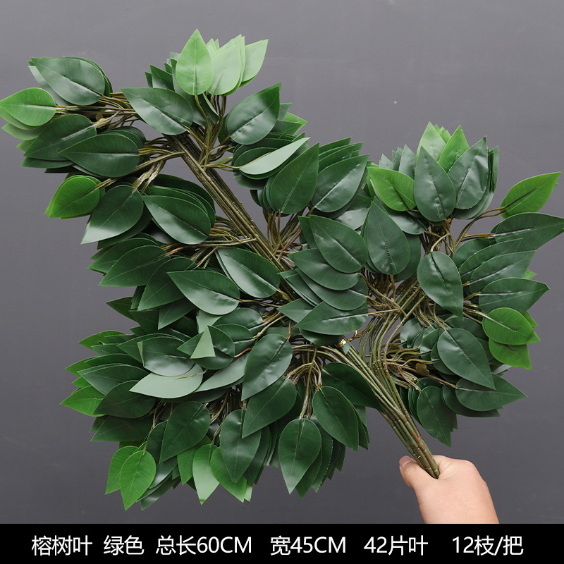 Banyan tree leaves [12 branches/bundles]