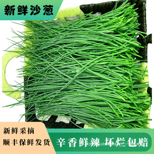 ����S���T�����C����ɳ�[�F�ɬF�l���r����ɳ�[�ҳ��ٴ��