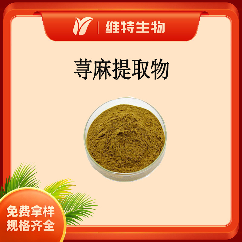 荨麻提取物 10：1 荨麻粉 比例萃取 荨麻根提取物