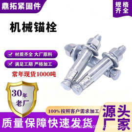 机械锚栓后扩底锚栓单双管重型倒锥形螺栓高强化学锚栓机械锚栓