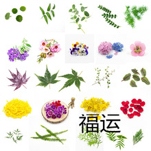 �����b������������rֲ��͏d���r�[�P��P��˾����