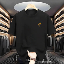 2026���������ļ�t���¿����쳱�ư�����ɼ�Լ�ٴ�����T������