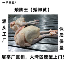 ���_�S�u���_����헟��u�G�uԭ�������ڏV�|���_�����ڏV�|���_�S