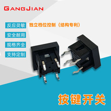 TS2x̖Դ_PxtGNɫDCo_P