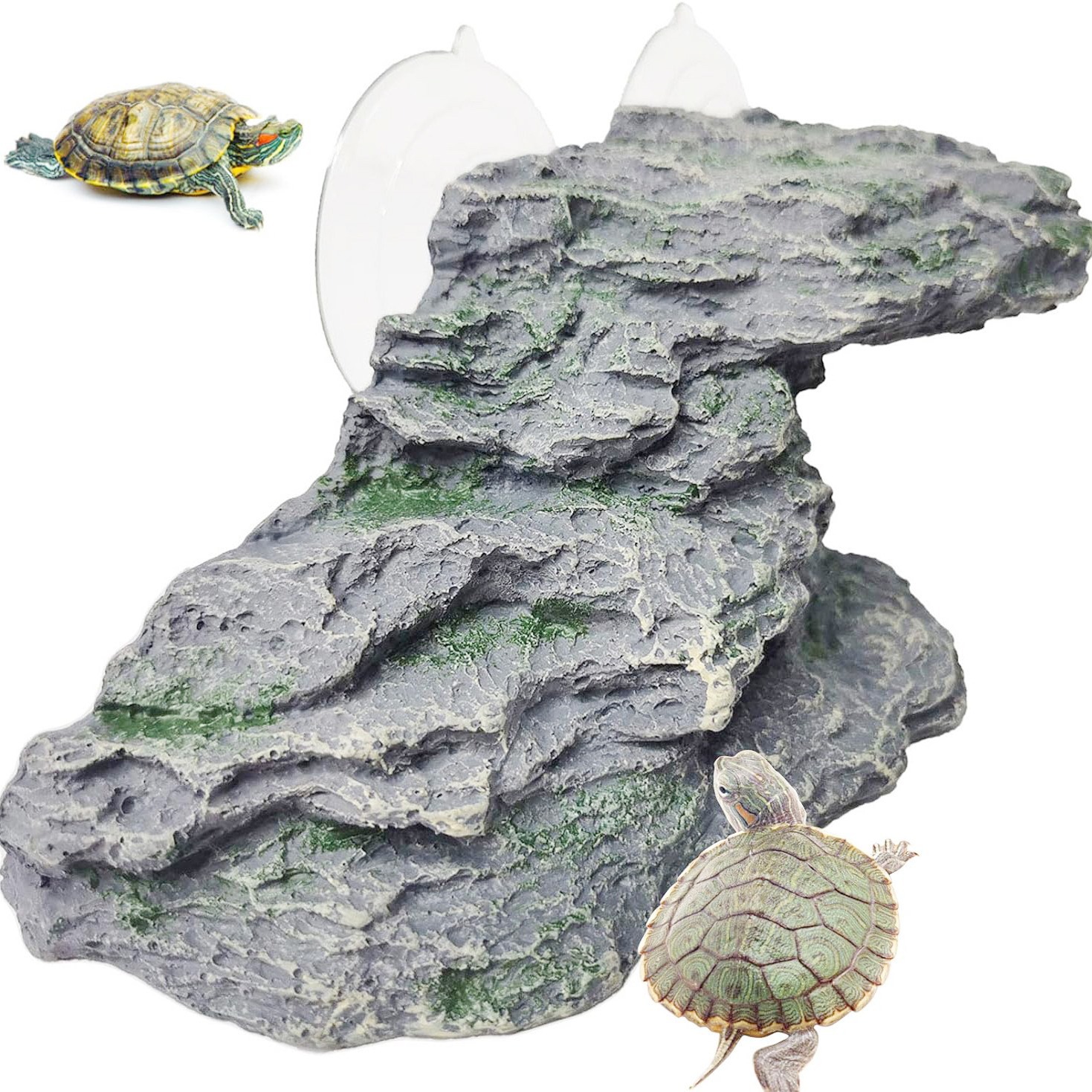 Terraza de la tortuga, sube las escaleras de la mascota, sube las escaleras, evita la cueva, guarda el palacio, evita la casa, el acuario, el paisaje de mascotas, la plataforma de secado de la tortuga