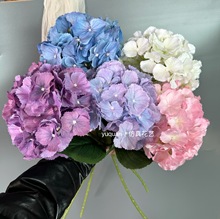 3D�ذ꽑����J������滨��c�û�����ٻ���c���Ż���Y���쾰