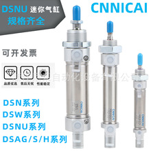 ͚DSNU/DSN-10-12-16-20-25-32-40-50-80-100-P-A-PPV-A