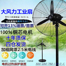 ���I�L�ȴ��L�����o���L�����ʽ�������L���ʏS�����ʏ���