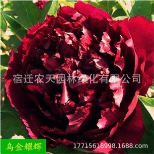 �ʝ�ĵ�����N�����Ի���ͥԺ�����ֲ̨���҃��ļ����B��