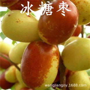 ��z�ۗ��� ���Ǵ󗗘��� ���𶬗���������޽����Ϸ������Nֲ