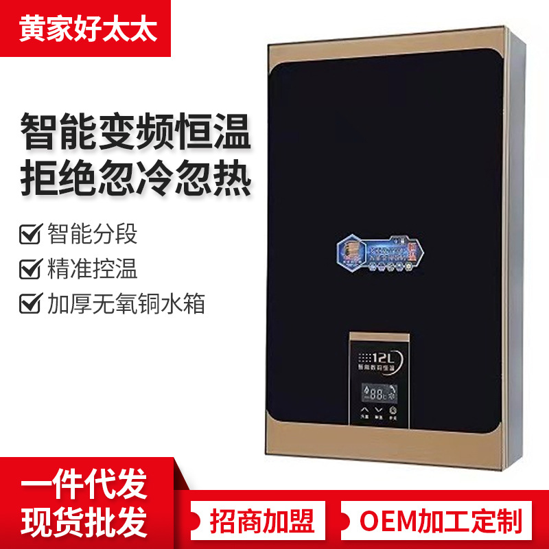 现货批发燃气热水器壁挂热水器恒温热水器强排式天然气热水气节能