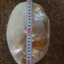 ԭ��20cm���ҵ��Լ��Bֳ��؛Դ���l ����Ӱ� �ؔ����l