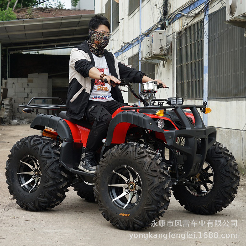 Cuatrimoto Todoterreno 4x4 250cc de Hierro y Plástico con Inicio Eléctrico para Montaña