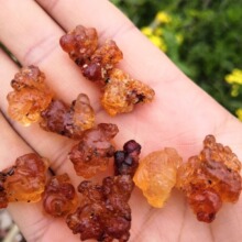 ��Ȼˮϴ���z(�S�t�z)  ˮϴȥ�s�| �t�S�z��Ʒ �a��ֱ�l��؛