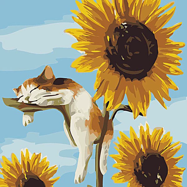 5041 Cat to sunflower
