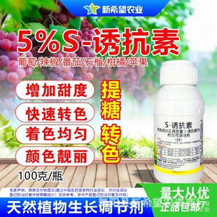 5%S�T����  ���ь���������ɫ�� �����O���߼t�����������L�{����