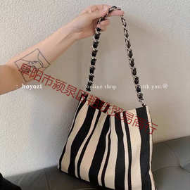 ☢¿斑马纹休闲腋下包女2025新款链条帆布包休闲慵懒单肩斜跨包包