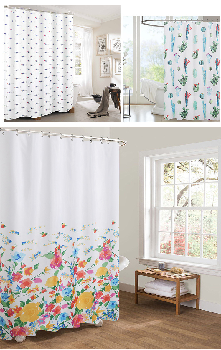 大花、银杏、仙人掌_03