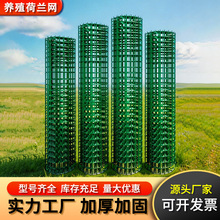 ���m�WӲ���F�z�W���ھW�ř��o�ڇ����Bֳ�W�B�u䓽z�W���o�W����