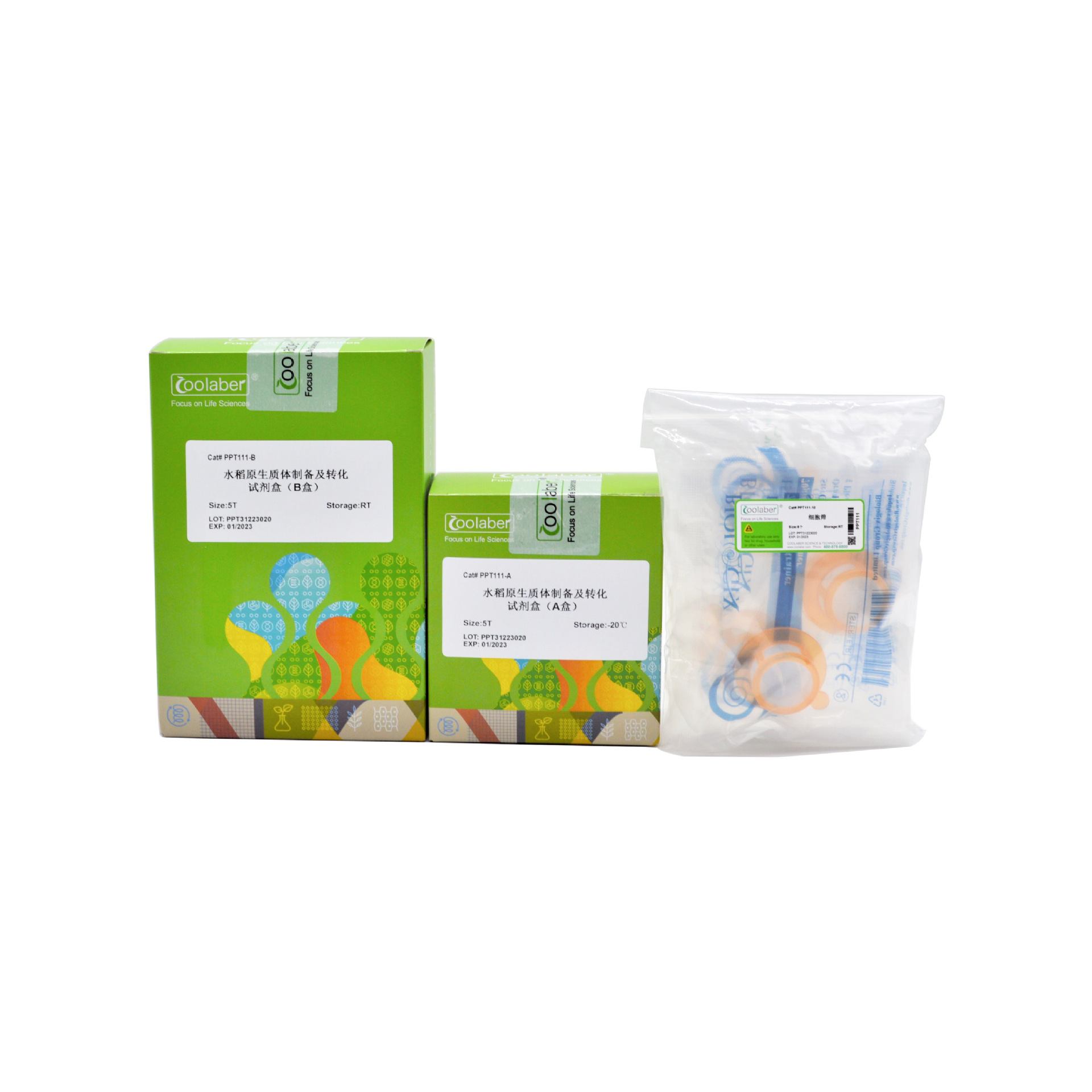 水稻原生质体制备与转化试剂盒（20 mL/T）