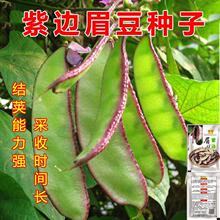 ����߅ü���N�ӡ�������߅�ⶹ�i�����ļ������ײ��NͥԺ�N��