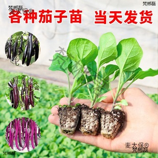 �ļ����������玧�����Լ޽���Ʒ�N���Ѻ��ѷN�Ѵ����߲�����̫��
