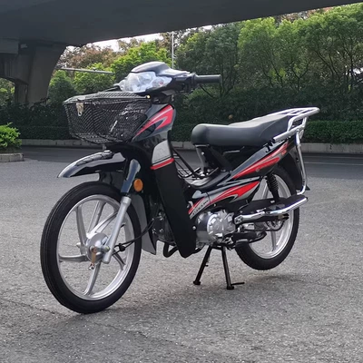 Factory Direct Sales of Electric Injection Motosikletlər