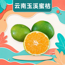 云南玉溪青皮蜜桔 代发3/5斤早熟蜜橘酸甜多汁时令整箱新鲜水果
