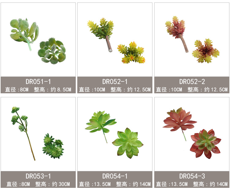 新单枝模板47-59_05