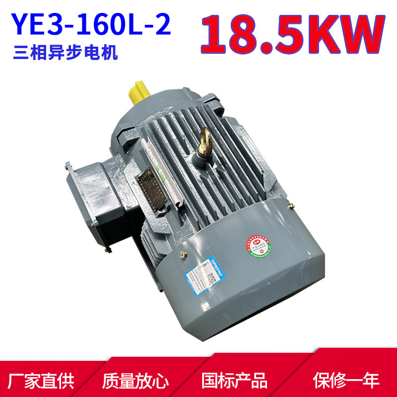 YE3系列马达三相异步电动机YE3-160L-218.5KW千瓦2极三相异步电机