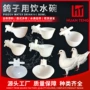 信鸽鸟类自动挂盒饮水碗