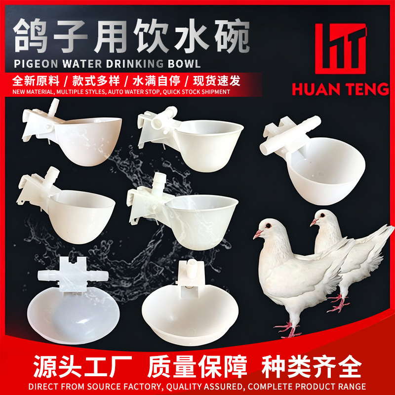 Tazón de agua de la paloma bebedor automático Loro Bird bebedor automático paloma caja de comida caja colgante bebedero image 1