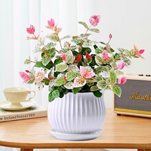 ���~�jʯ�ļ���ʻ������Բʽj�~���@�̨������GֲͥԺֲ�ﴹ��