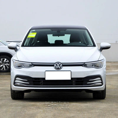 face air intake grille plating mask | Zhongwang