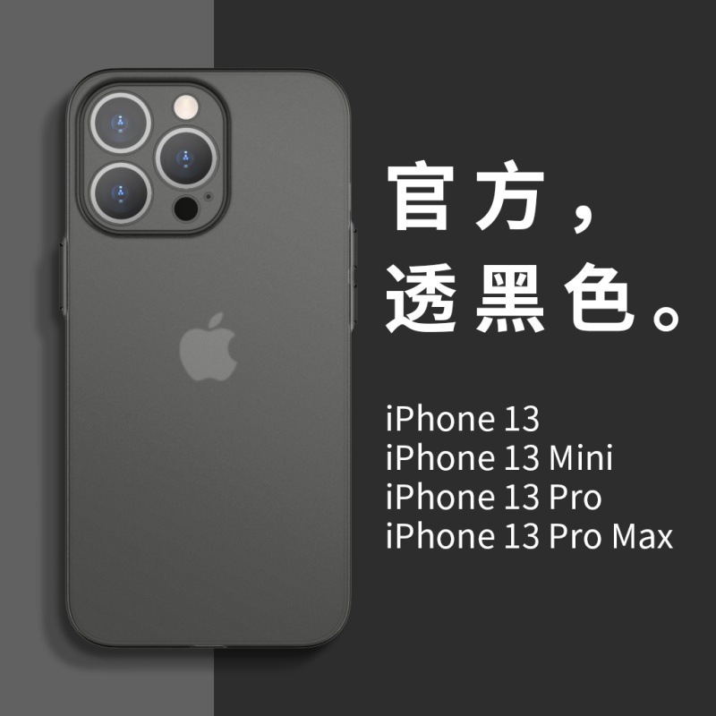 Suitable for Large Hole Fine Hole Apple Iphone13Promax Second Generation Pp Ultra-Thin 2021 New Frosted Mobile Phone Case