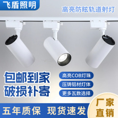 軌道灯cob集光背景壁スポットライト服装店led店舗商用明装家庭用レール式スポットライト