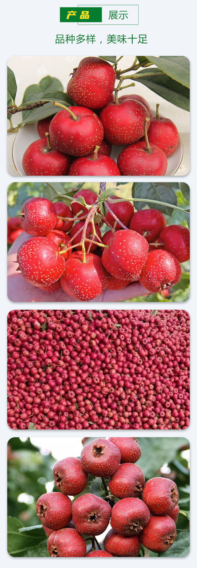 山楂-1_04.jpg