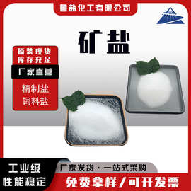 精制工业盐厂家供应洗化冶金印染细盐氯化钠99含量精制盐/饲料盐
