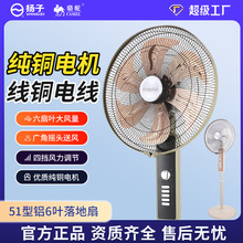 铜电机落地扇家用电风扇商用摇头立式18寸机械遥控风扇工厂批发
