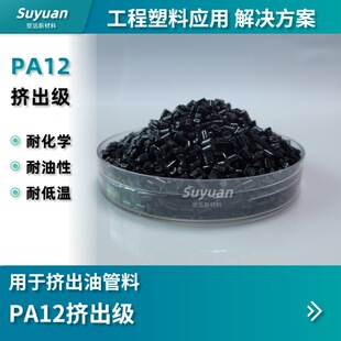 PA12�͹��� �����ͻ��W�D���͹��� ��ɫPA12 �͵͜� ��������