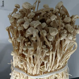 银耳;猴头菇;其他干货