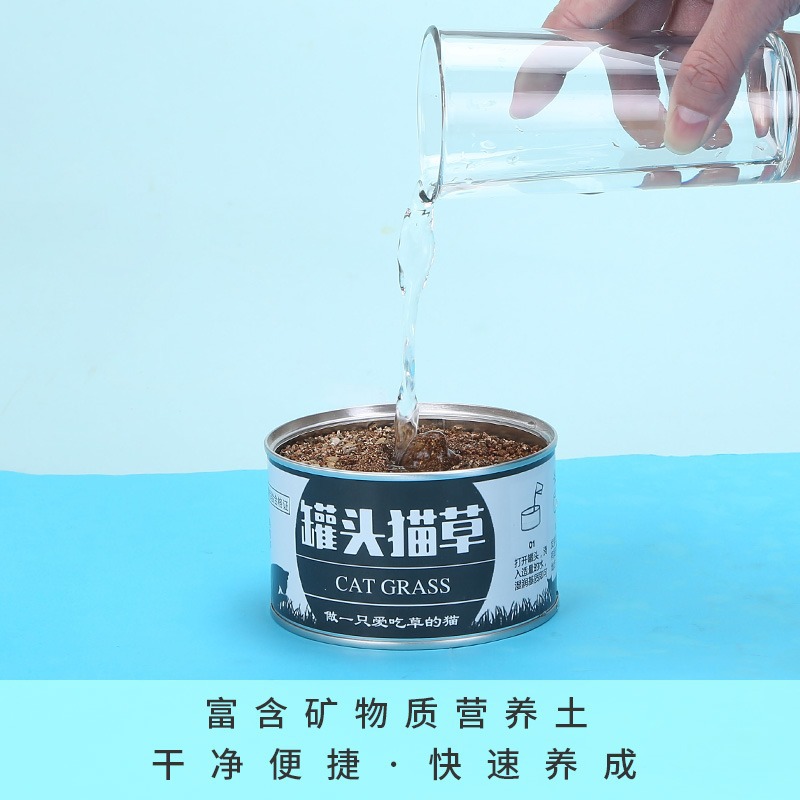 plantas de hierba de gato enlatadas en maceta perezosa hierba de gato enlatada trigo gatos jóvenes bulbos de lana de plantación de suministros para gatos